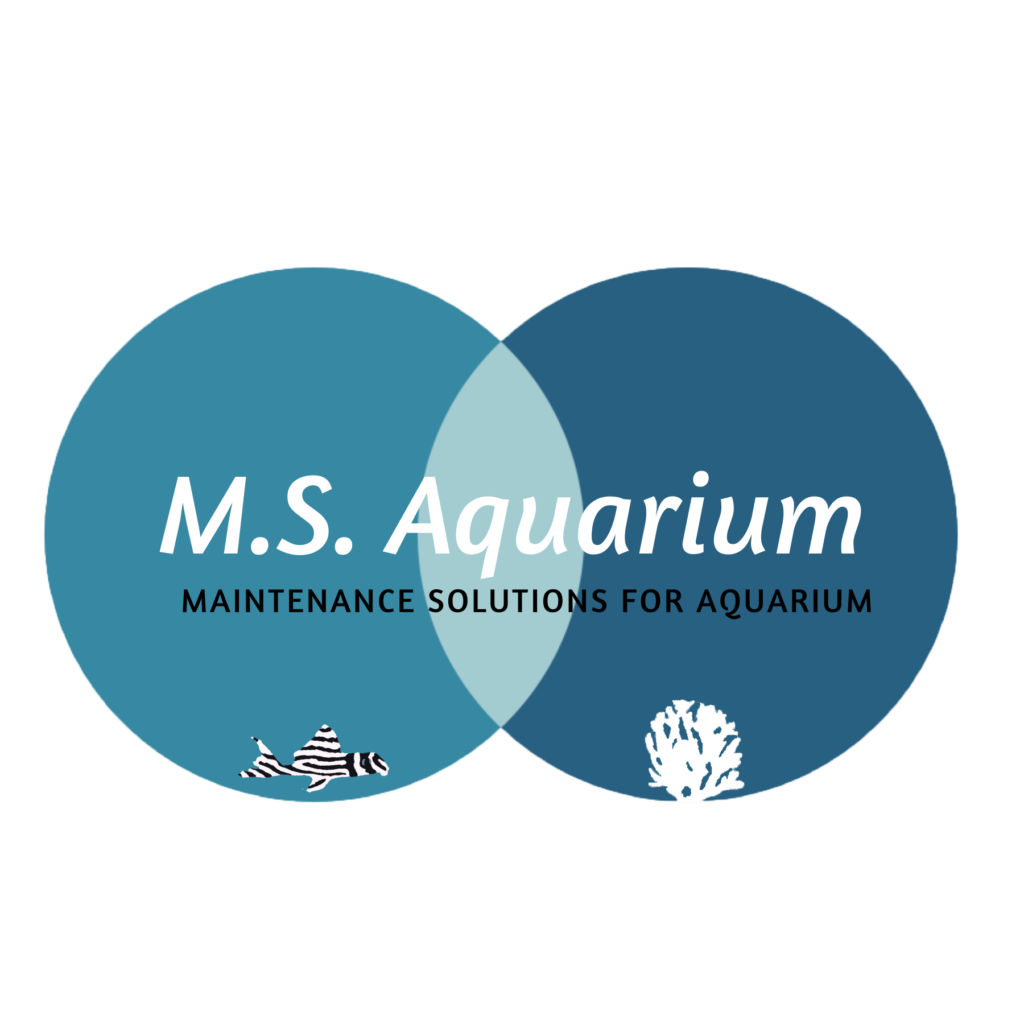 M.S. Aquarium_logo_1800x1800