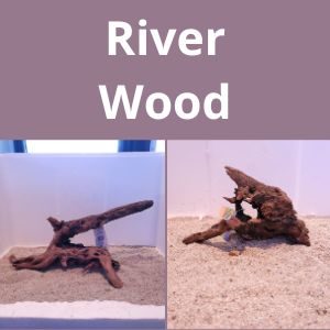 River Wood